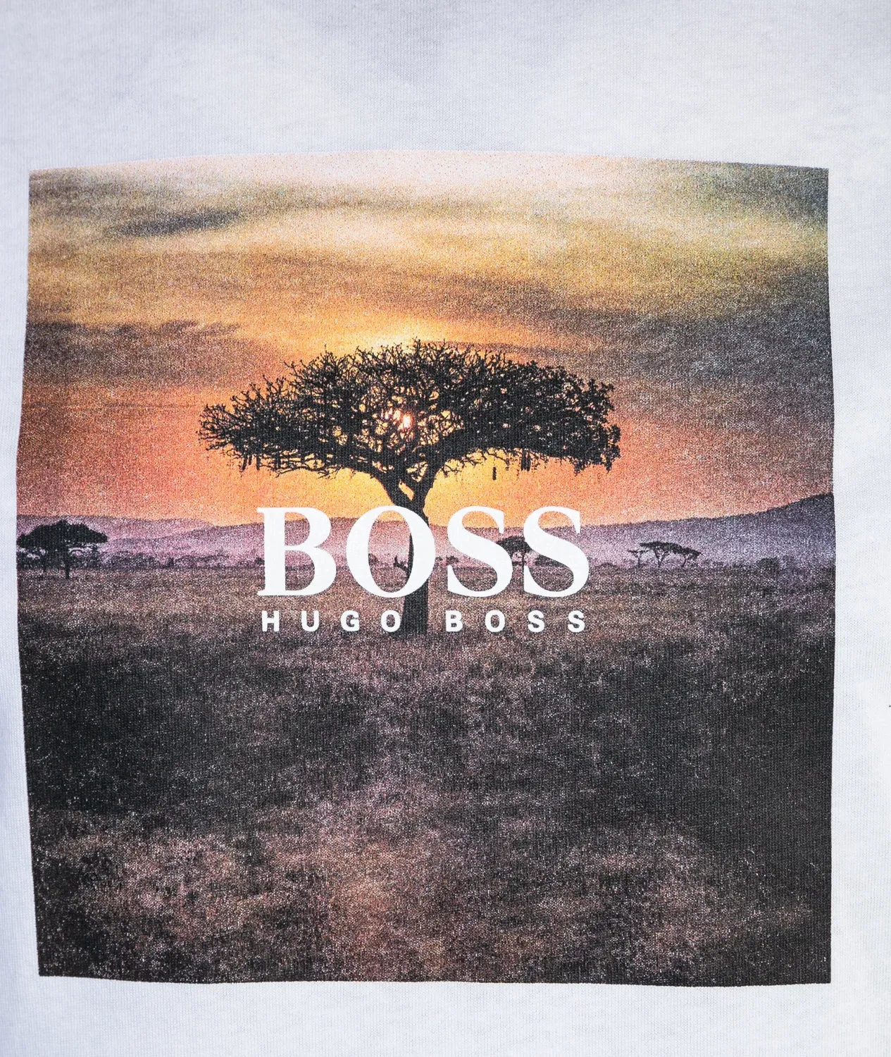 BOSS Troaar 5 T Shirt in White Safari Sunset